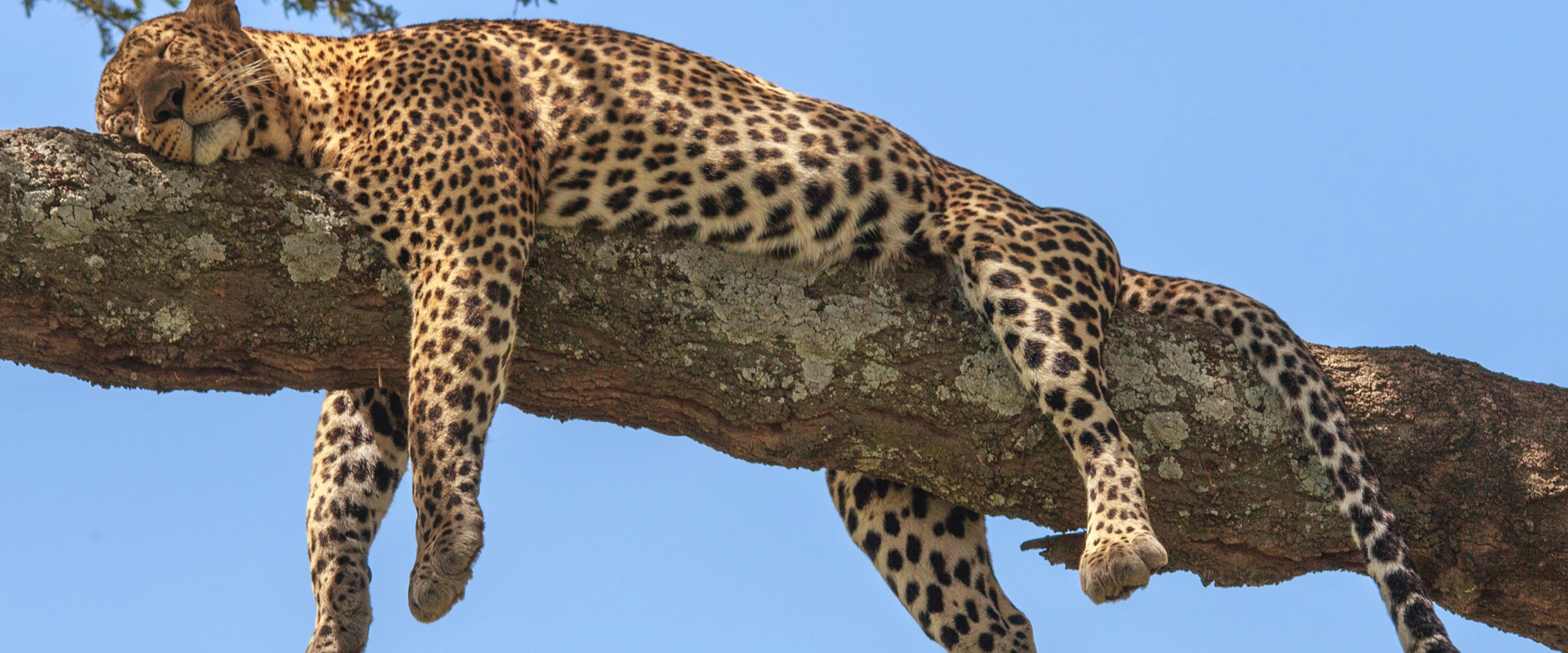 2 Days: Lake Nakuru & Lake Bogoria safari photo