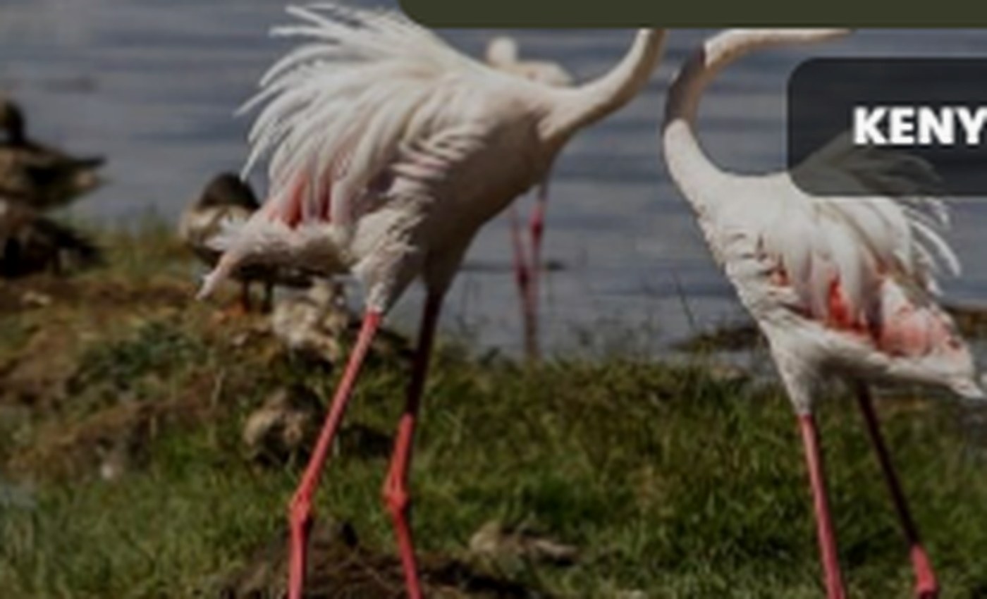 Aberdare National Park safari destination