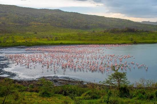 Arusha National Park safari destination