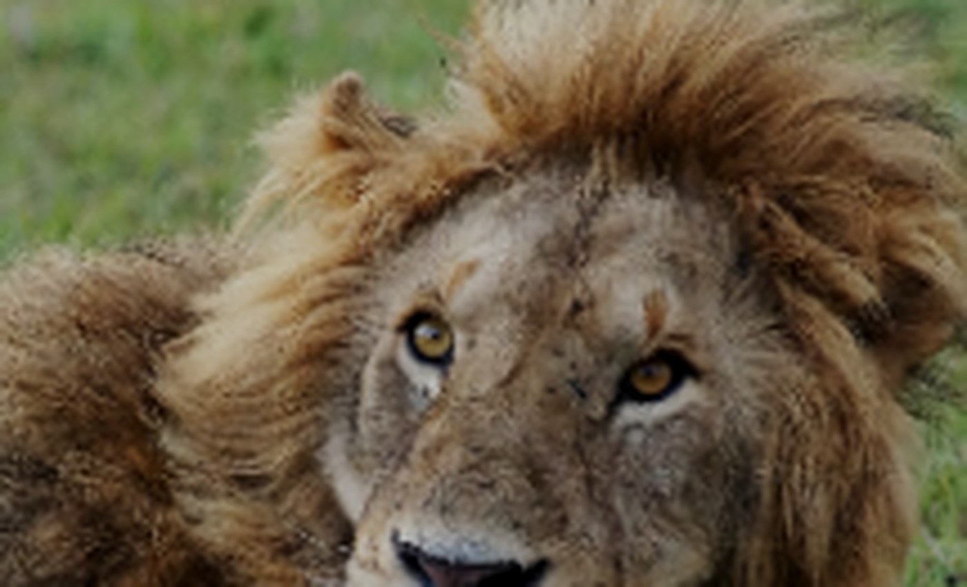 Hell’s Gate National Park safari destination