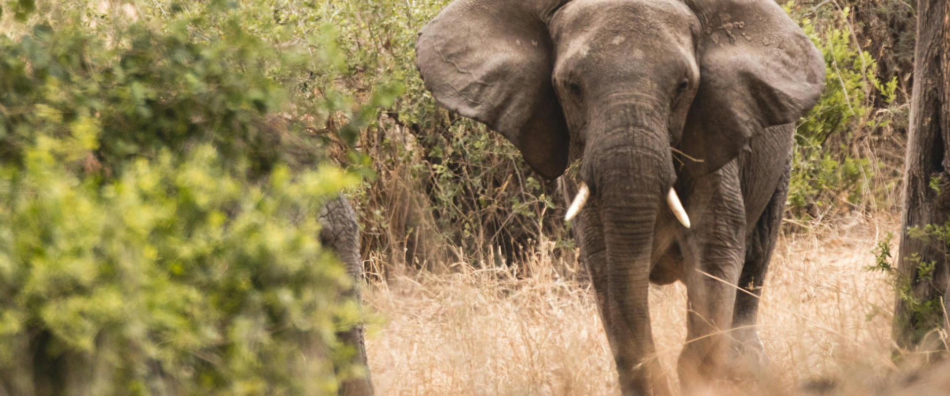 Lake Manyara National Park safari destination