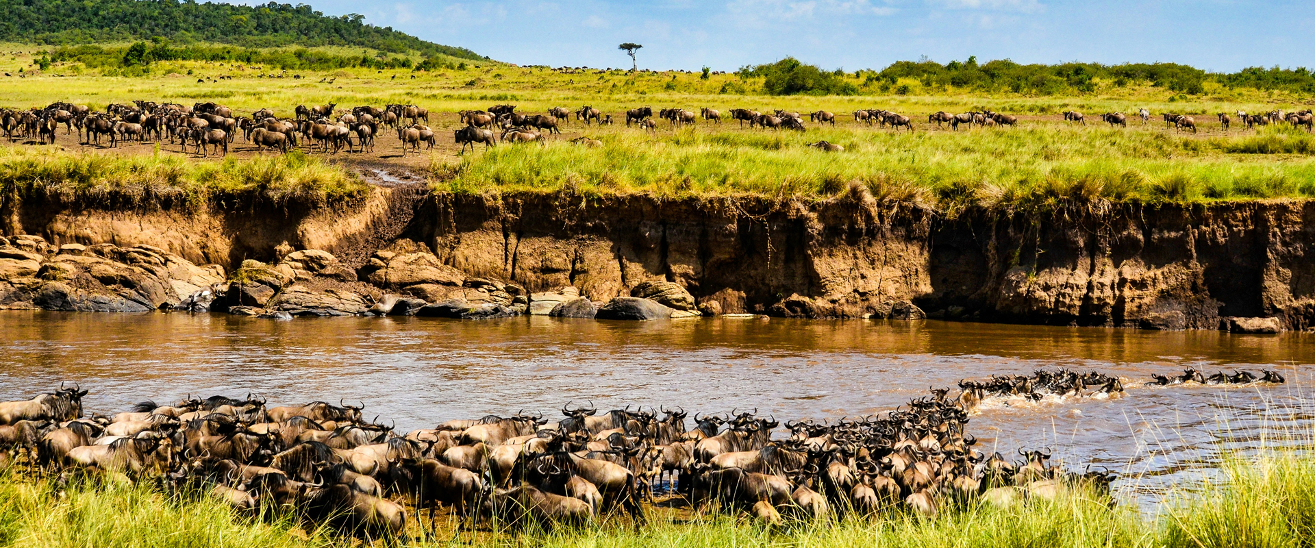 Masai Mara National Reserve safari destination