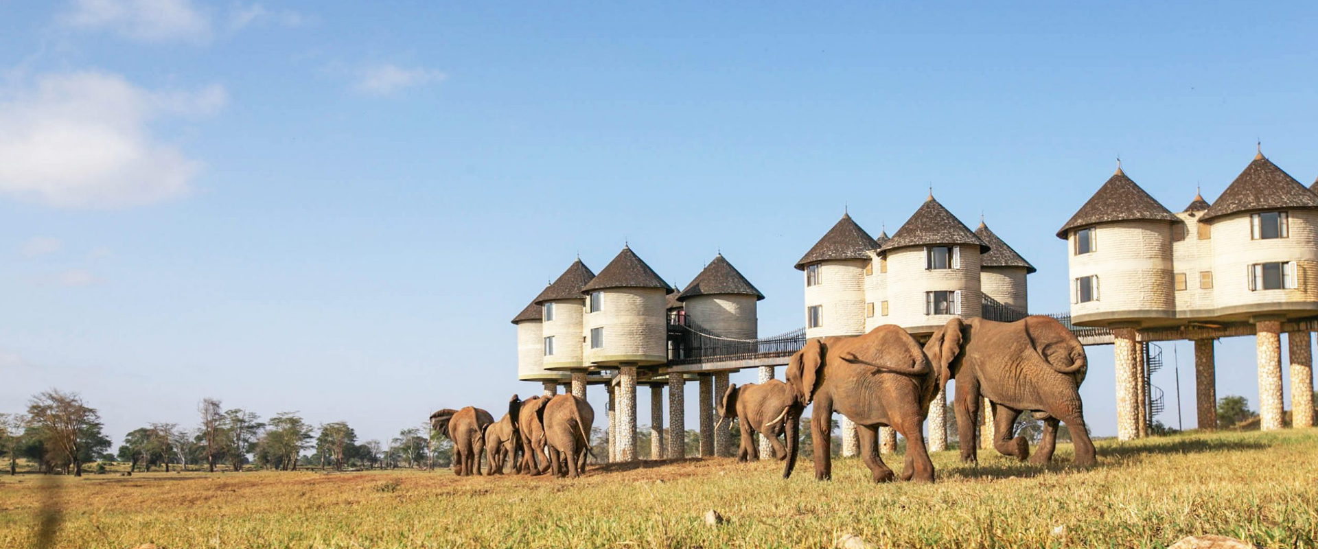 Taita Hills Wildlife Sanctuary safari destination