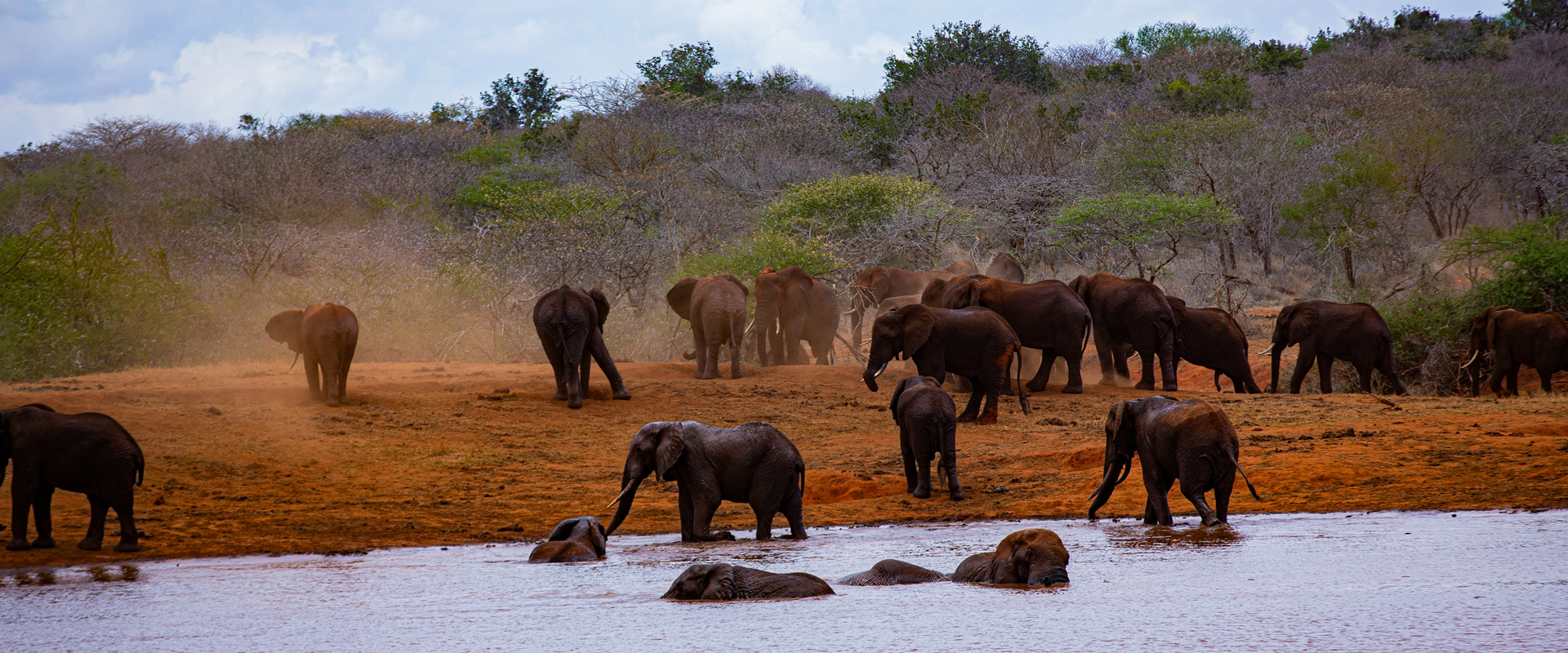 Tsavo East National Park safari destination