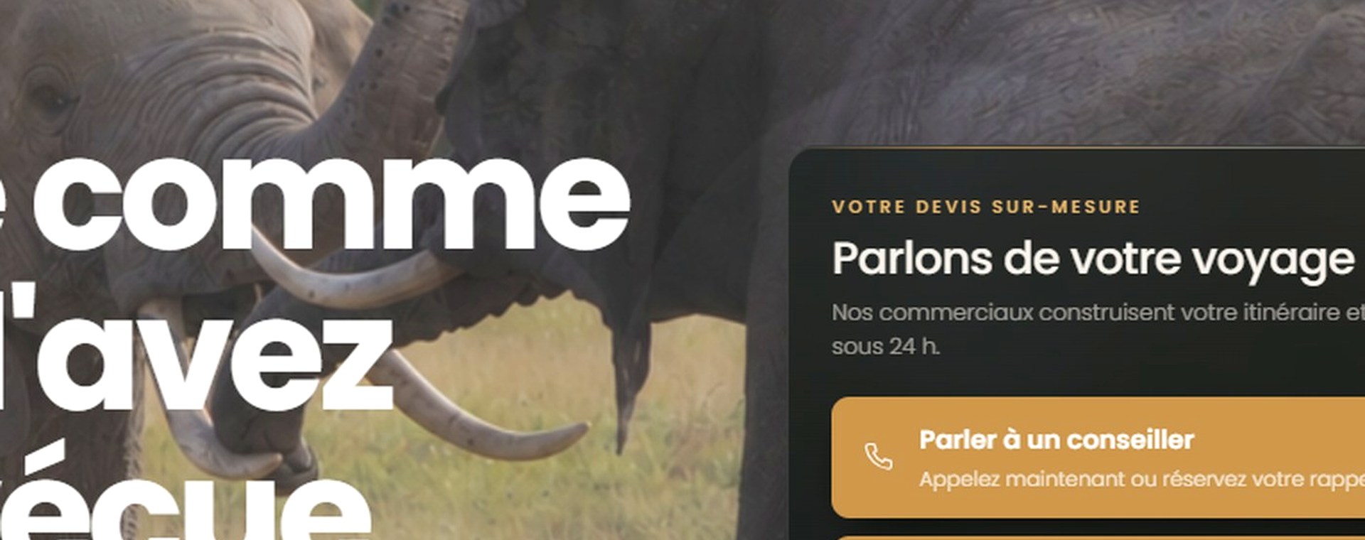 2 days L. Manyara and Korongoro National Park safari photo