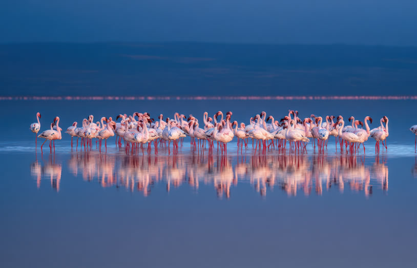 2 Days: Lake Nakuru & Lake Bogoria safari photo