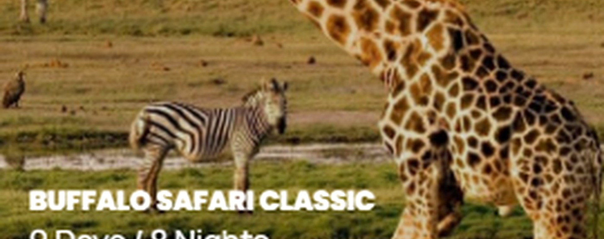 2 Days Mara National Park safari photo