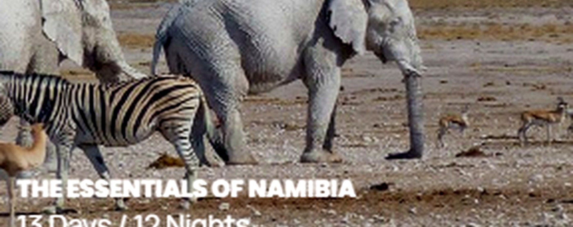 2 days Nairobi – Masai Mara safari photo