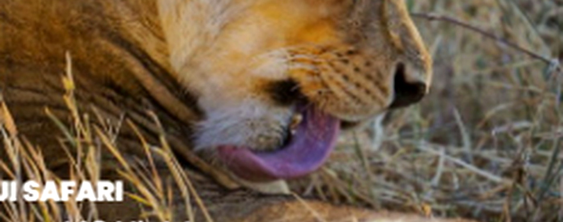 2 days Tsavo East and Taita Hills Santuary safari photo