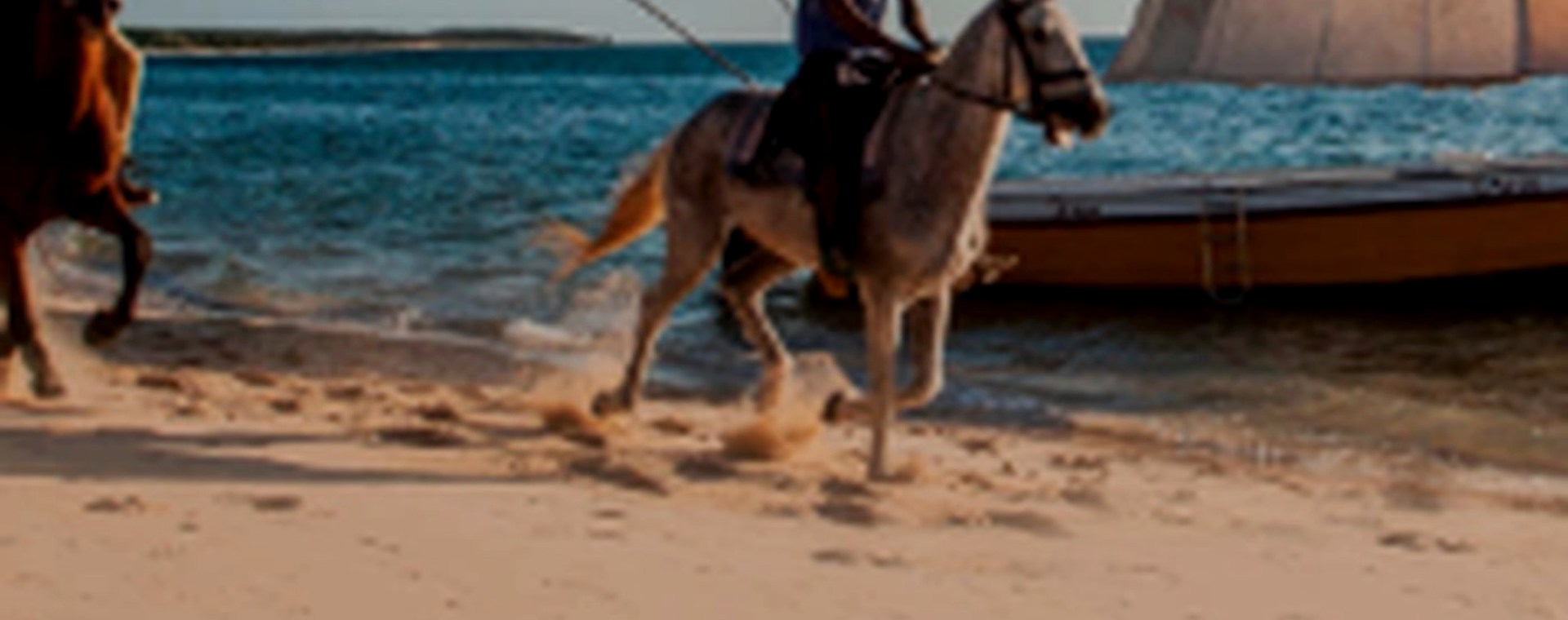 3 days Zanzibar safari photo