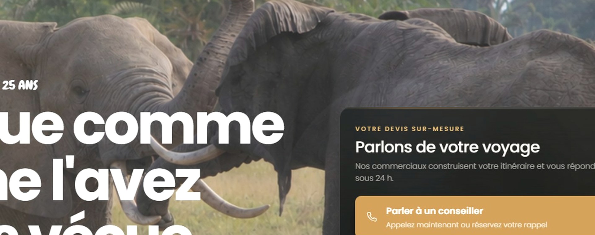 4 Days - Mombasa fly to Nairobi drive to Mara and Lake Nakuru safari photo
