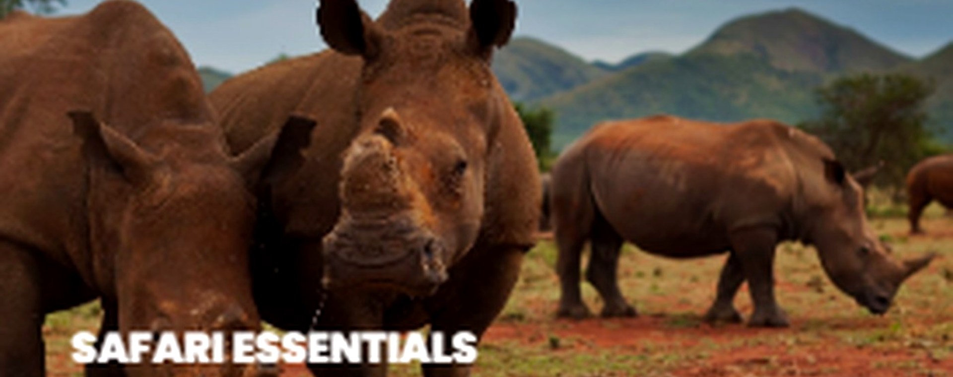 4 Days - Mombasa to Masai Mara by Air safari photo