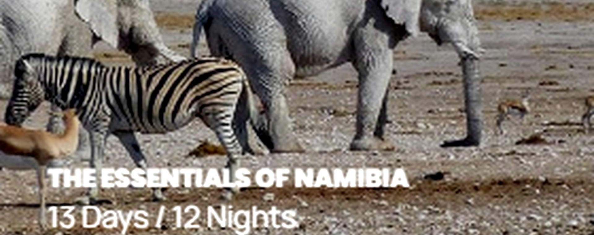 4 Days: Samburu and Lake Nakuru National Park safari photo