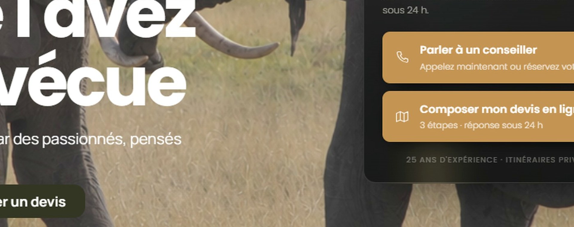 5 Days Safari Lake Manyara, Serengeti Plains and Ngorogoro Crater National Park safari photo