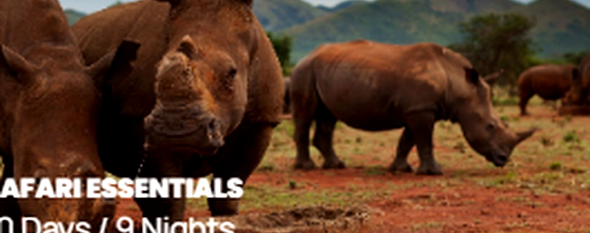 5 Days: Samburu National Reserve,| Lake Nakuru National Park & Hell's Gate safari photo