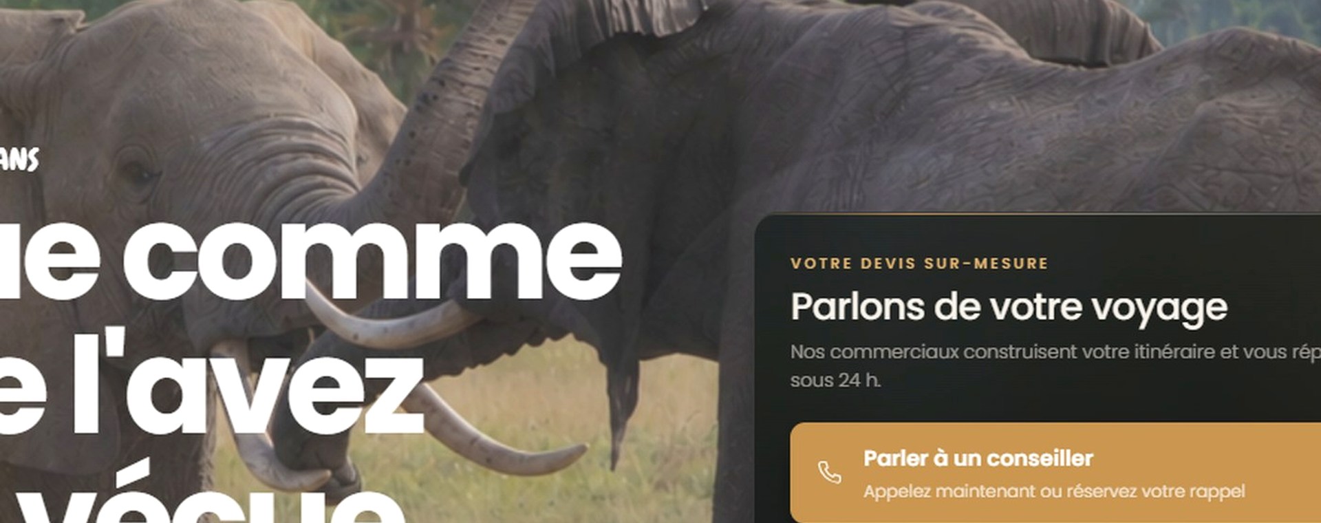 7 Days Wildebeest Migration safari photo