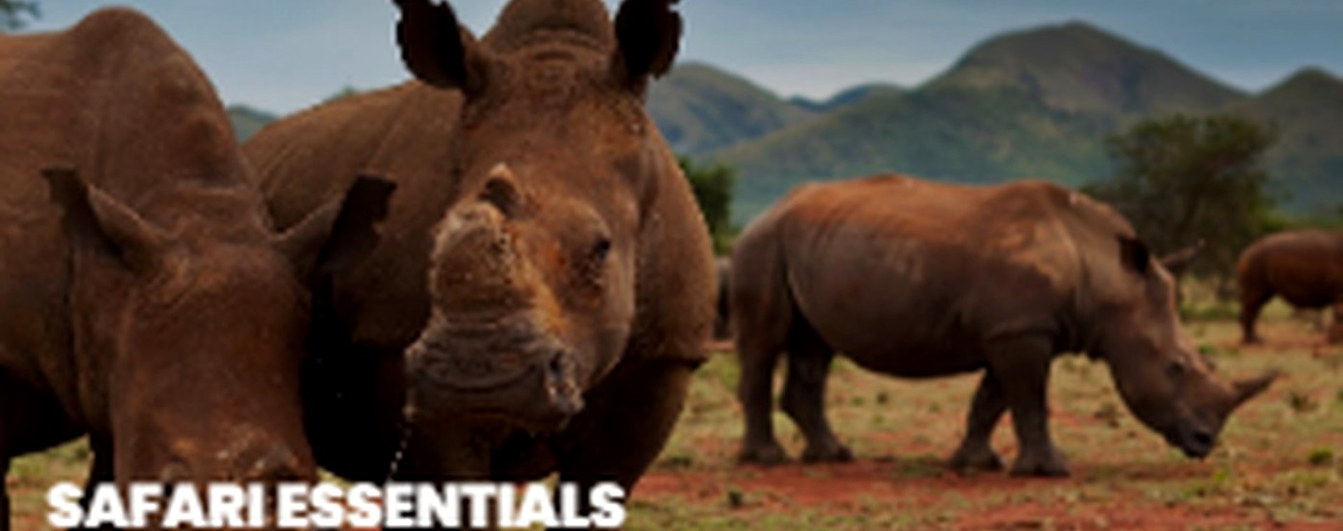 8 Days: Lake Manyara,Serengeti,Ngorongoro Crater | Tarangire & Wildebeest Migration Special safari photo
