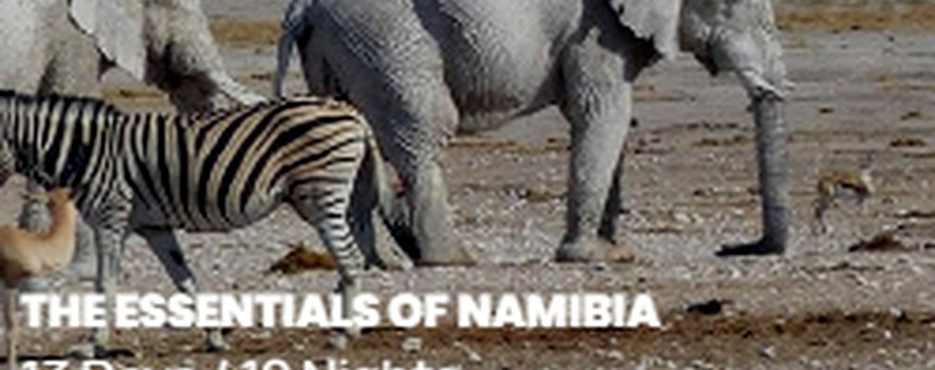 8 Days: Masai Mara , Nakuru , Amboseli , Tsavo West & Tsavo East National park safari photo