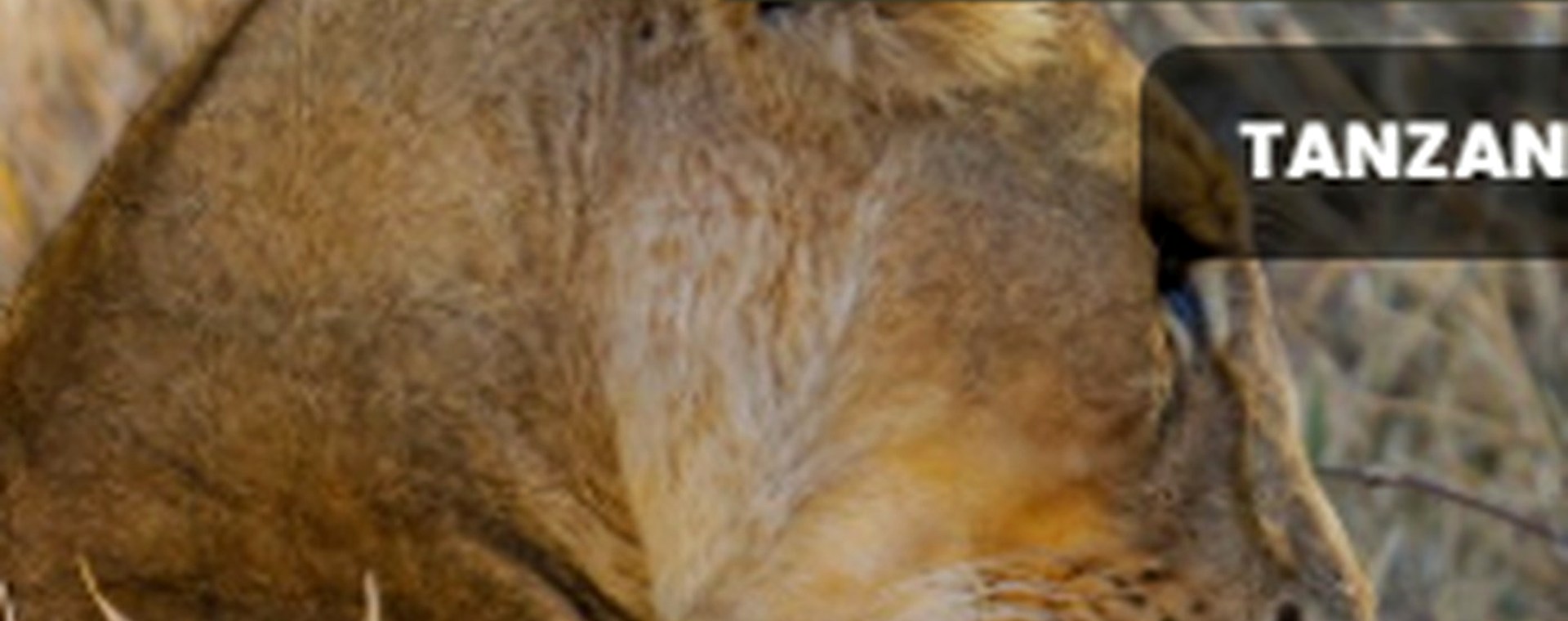 9 Days: Masai Mara, Lake Naivasha, Lake Nakuru , Aberdare , Mt Kenya & Samburu National Park safari photo